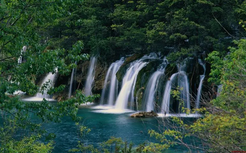信息化电子网络化